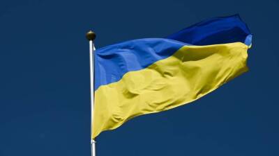 Социологи выяснили, что 13% молодого населения Украины испытывает стыд за страну