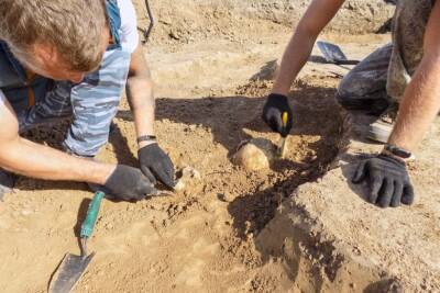 Британская школьница нашла 65 артефактов времен бронзового века и мира
