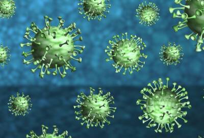 Вакцина для клеточного иммунитета против COVID-19 прошла первую фазу испытаний