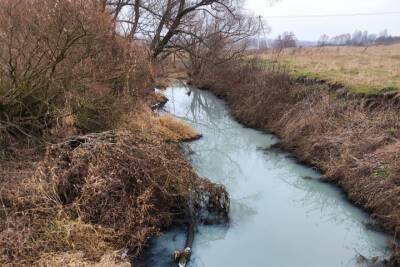 Тулячка сообщила о загрязнении реки Бобрик, впадающей в Дон