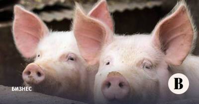 Производители свинины и птицы столкнулись с дефицитом кормовых добавок