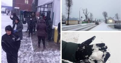 Снег в Беларуси – мигранты увидели снег впервые, фото, видео – последние новости