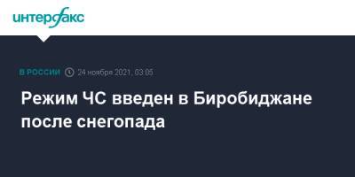 Александр Головатый - Режим ЧС введен в Биробиджане после снегопада - interfax.ru - Москва - Биробиджан