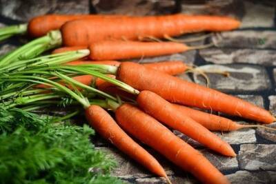 Диетолог рассказала, кому противопоказана морковь