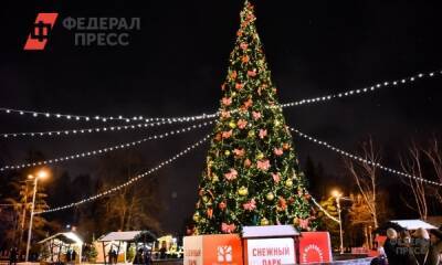 В Новосибирске отменили новогодние гуляния в центре города