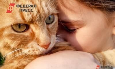 Новосибирские спасатели помогли застрявшему в раковине коту