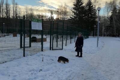 Во Владимире появилось легальное место для выгула собак