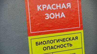 Известные врачи РФ предложили противникам вакцинации посетить «красную зону» и морги