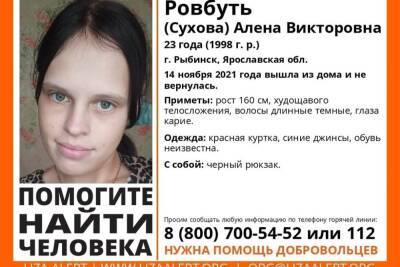 В Ярославской области пропала молодая мать двоих детей