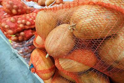 Белоруссия обогнала всех соседей по ценам на картофель