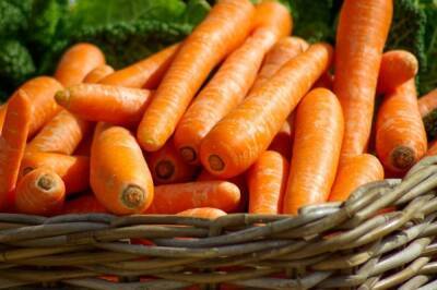 Диетолог предупредила о противопоказаниях к употреблению моркови