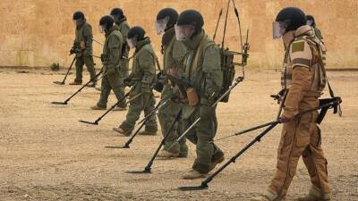 В Пальмире прошли учения сирийской армии под руководством инструкторов из России