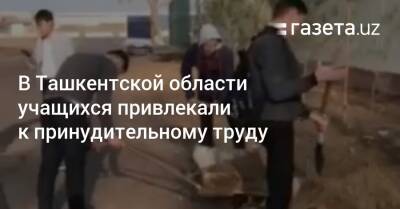 В Ташкентской области учащихся привлекали к принудительному труду