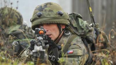 Чехия готова отправить войска на границу Польши и Белоруссии