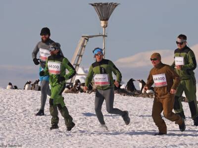 "Пингвины натоптали трассу". Украинские полярники в Антарктиде пробежали марафон, "который никто не хочет бежать"