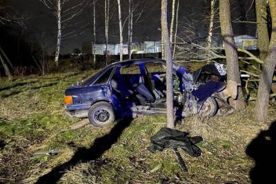 Жена водителя погибла в дорожной аварии в Великих Луках