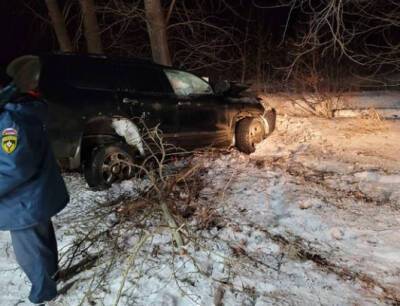 В Башкирии элитная иномарка врезалась в дерево: водителя госпитализировали
