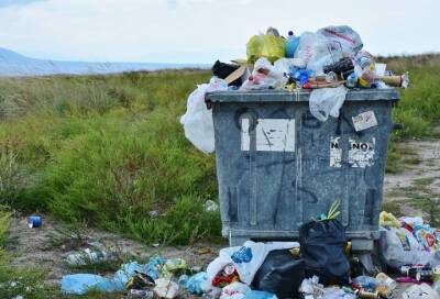 В Ленобласти ужесточили контроль по вывозу отходов
