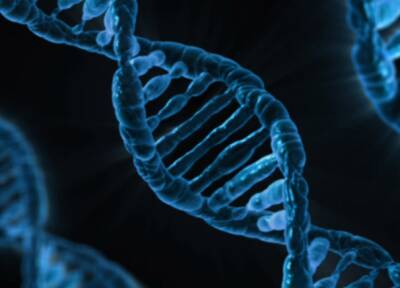 Генетик Лильин развенчал миф о негативном влиянии коронавируса на ДНК