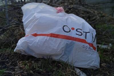 В лесу на юге ДНР обнаружен пакет с боеприпасами