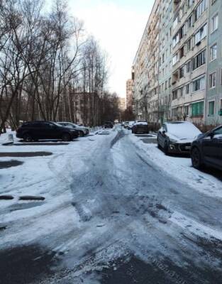 Петербуржцы не заметили чищенных улиц, о которых отчитался Смольный