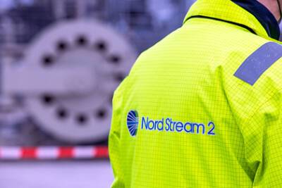 Политолог объяснил высказывание немецкой партии против санкций по Nord Stream 2