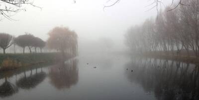 Туман и гололедица ожидаются в Беларуси 24 ноября