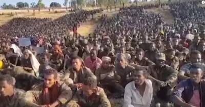 Премьер отправился на фронт, а Запад призывает покинуть страну: что происходит в Эфиопии (видео)