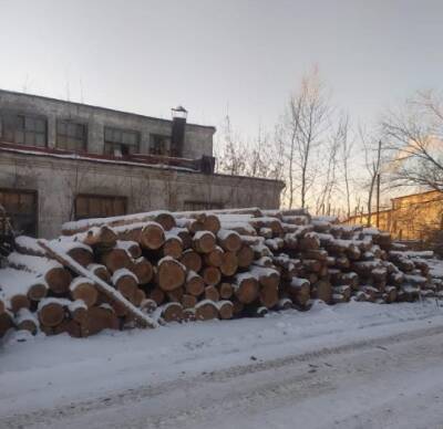 За контрабанду леса в Казахстан арестованы два курганских бизнесмена