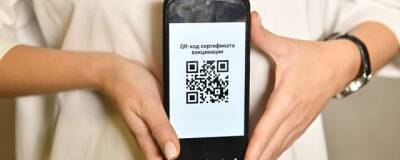 Госдума все-таки рассмотрит законопроект о введении единой системы QR-кодов в декабре