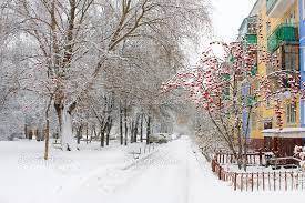 С 25 ноября в Новосибирск придет резкое похолодание со снегопадами