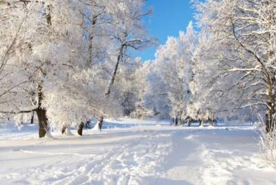 Морозы до минус 20: синоптик рассказала, какой будет зима в Украине