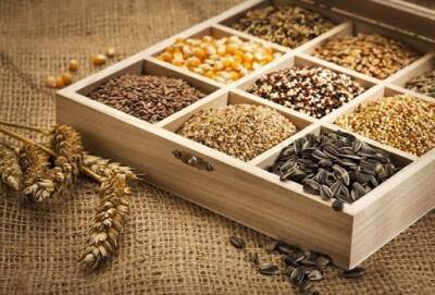 В Казахстане предлагают установить временные экспортные пошлины на вывоз семян масличных культур