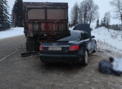 В Игринском районе Удмуртии столкнулись грузовик и «Ауди» - gorodglazov.com - респ. Удмуртия - район Игринский
