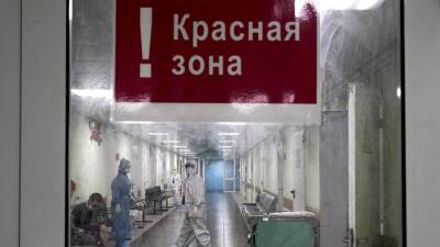Миронов и Лысаков ответили на приглашение врачей в «красную зону»
