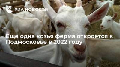 Еще одна козья ферма откроется в Подмосковье в 2022 году
