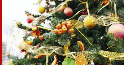 Вкусный декор: пять модных идей съедобных украшений для новогодней елки