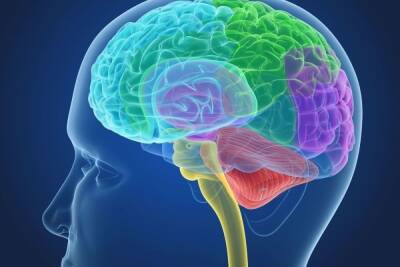 Человеческий мозг блокирует запоминание определенной информации