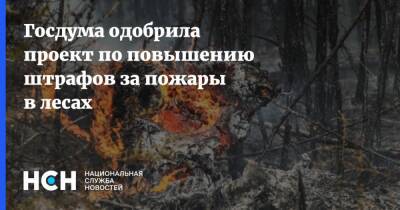 Госдума одобрила проект по повышению штрафов за пожары в лесах