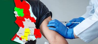 Глава Минздрава Карелии назвал районы-аутсайдеры по вакцинации