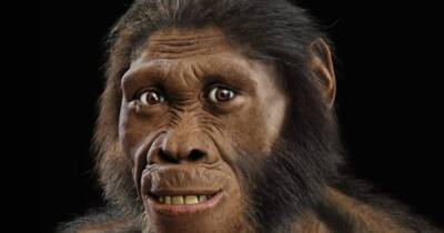 Раньше неандертальцев. В Южной Африке родственник человека ходил на двух ногах еще 2 млн лет назад