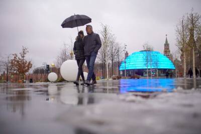 Синоптики спрогнозировали слякотную и оттепельную погоду в Москве