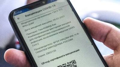 Комитет Госдумы рекомендовал принять законопроект о QR-кодах в первом чтении