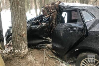 Автоледи в Татарстане погибла, влетев в дерево