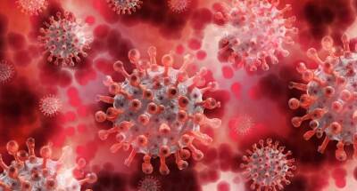 Почему человечество избавилось от испанки, но не может справиться с коронавирусом