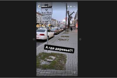 Варламова возмутила нехватка деревьев на проспекте Революции в Воронеже