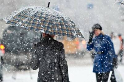 Мокрый снег, дождь и плюсовая температура – прогноз погоды в Ленобласти на 25 ноября