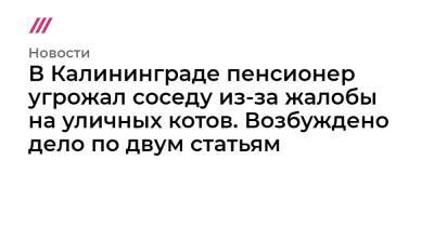 В Калининграде пенсионер угрожал соседу из-за жалобы на уличных котов. Возбуждено дело по двум статьям