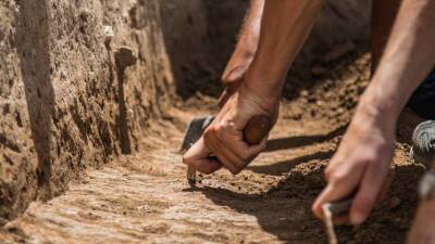 Ученые обнаружили ассирийский доспех в китайской могиле
