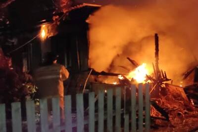 В Курганской области двое мужчин погибли в пожаре